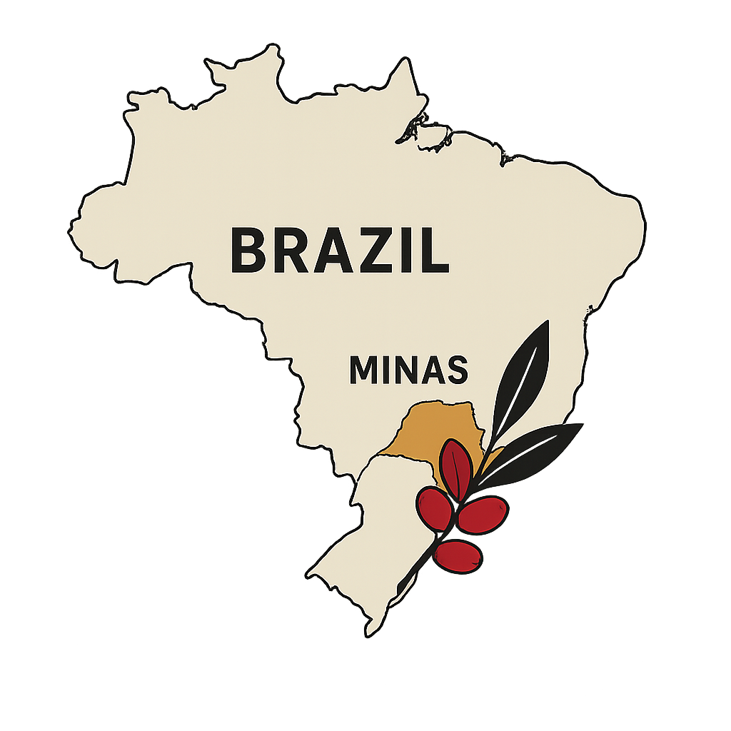 Brazil Minas Coffee Beans – Peaberry, Medium-Dark Roast | Adi’s Coffee