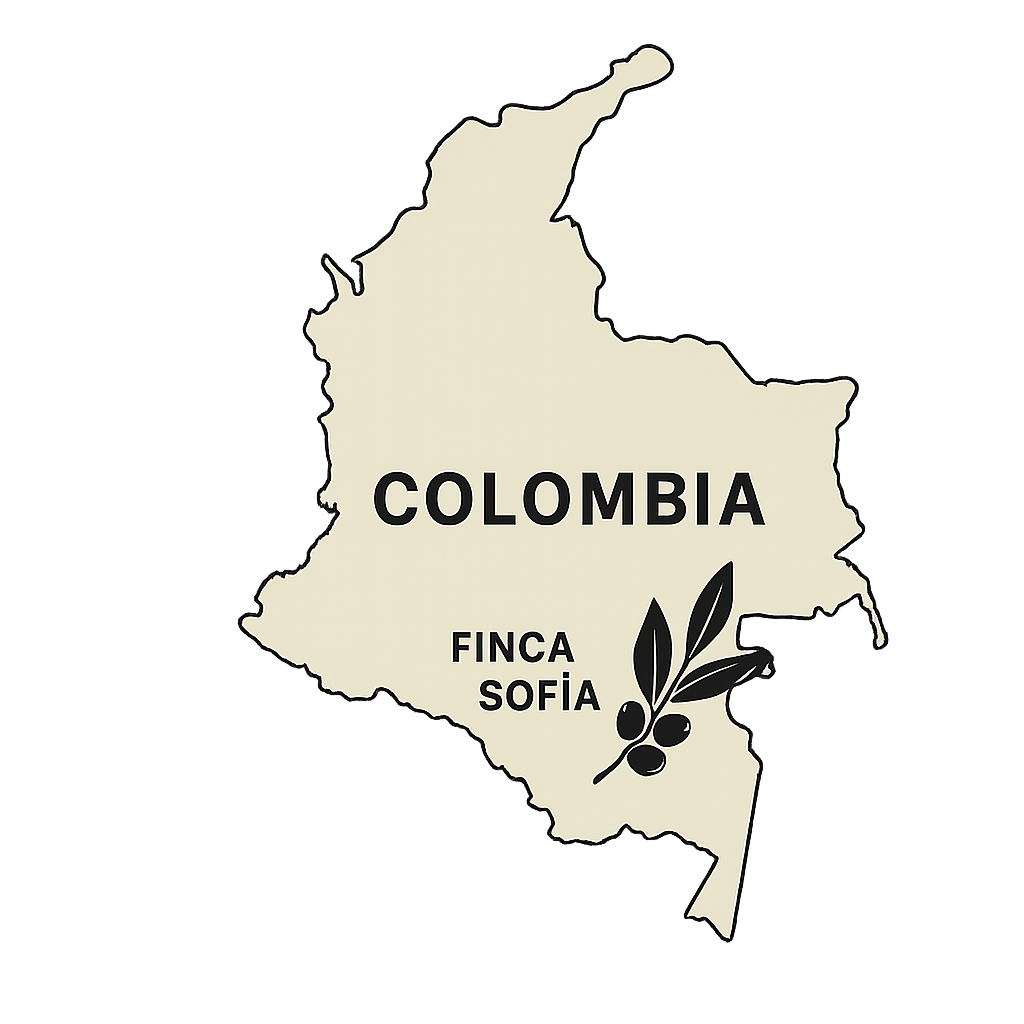 Colombia Coffee Beans – Finca Sofia – Washed | Adi’s Coffee